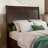 Avdesh Solid Wood Sleigh Trundle Extra Bed-1789888717-1789888716