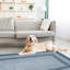 Tapis rectangulaire Bimlesh Bordure bleue multi-couches-2002093587