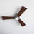 Rodrick Ceiling Fan with LED Lights-90790120-90781354