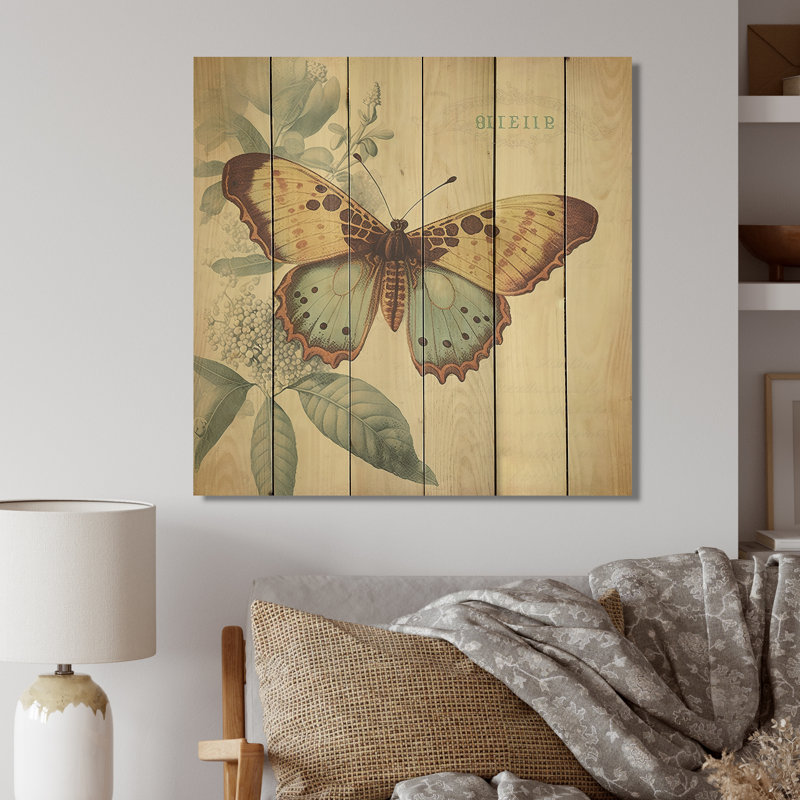 Illustration rétro de papillon VI Illustration rétro de papillon VI - reproduction, H 16 po x l 16 po x P 1 po