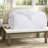 Premium Cotton Down Alternative Bedding Set, Hypoallergenic Comforter, Perfect For Cold Weather