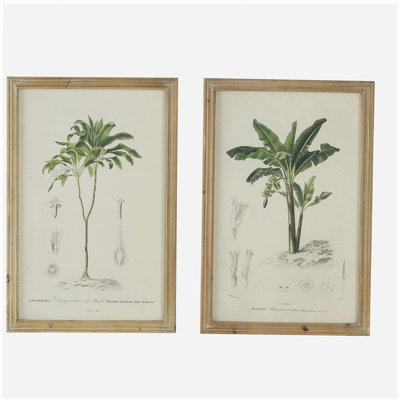 S/2 Tree Framed Print, 15.5x23.5"