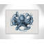 Octopus II, Atlantic Marine Museum-60385542-60385544
