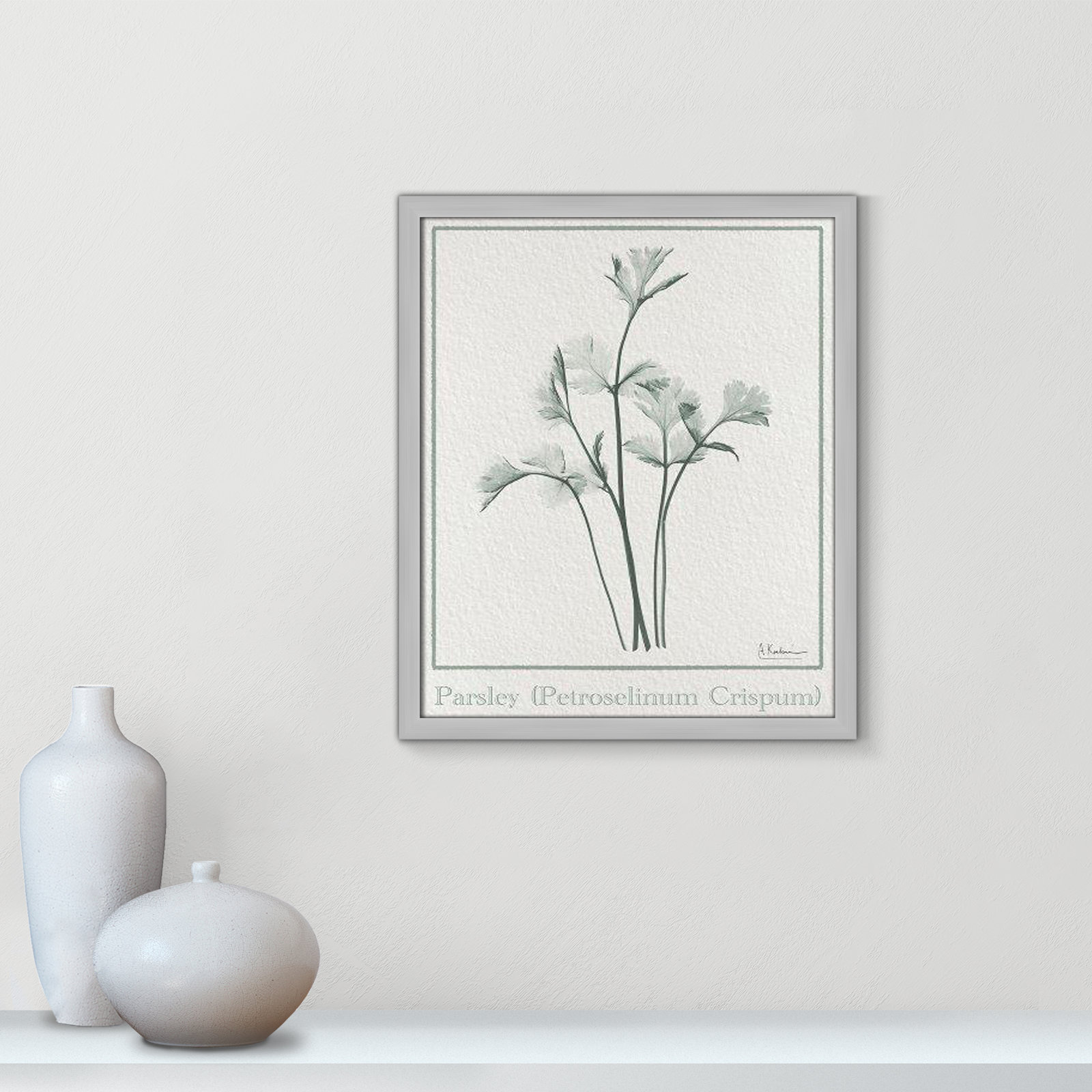 Parsley II Framed On Paper by Albert Koetsier Print, Matte Silver Framed Paper, 19" H x 16" W x 1.25" D