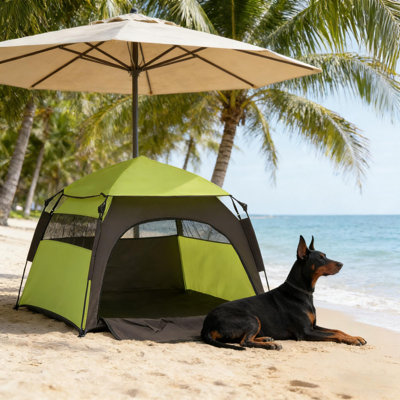 Tente de camping portative pour animal de compagnie