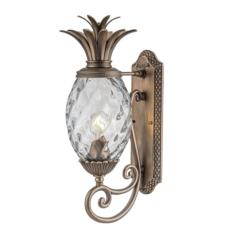 Alahya 54.1cm H Outdoor Wall Lantern, Burnished Bronze
