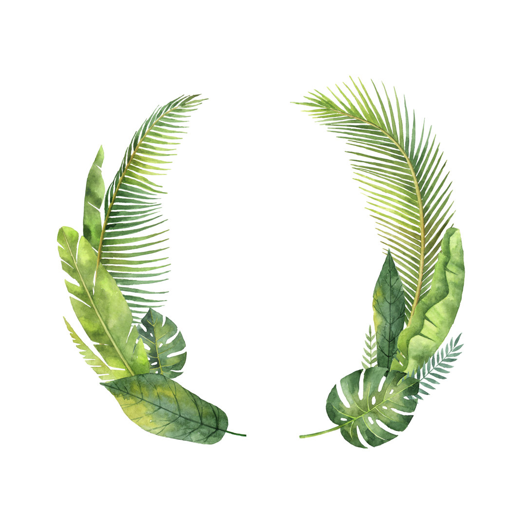 Tropical Leaves by ElenaMedvedeva - Wrapped Canvas Painting
