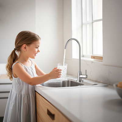 Reverse Osmosis System 400 GPD 8-stage Tankless Under Sink Water Filter System