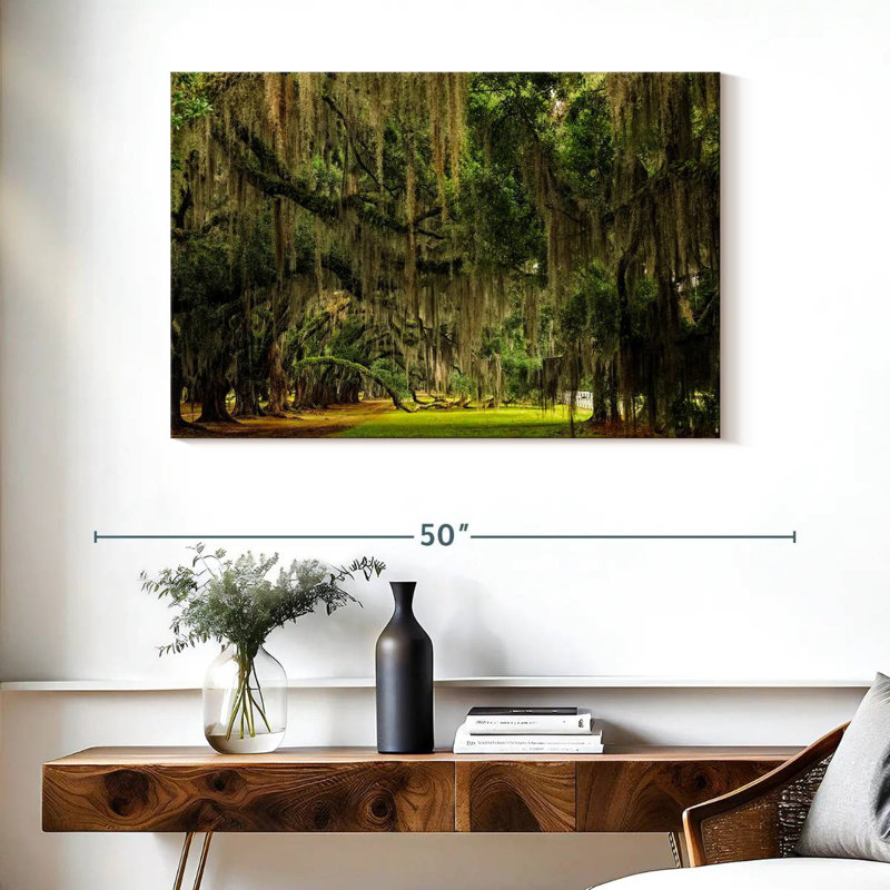 Sireci Spanish Moss, 26" H x 39" W