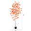 Arbre d'automne artificiel en bouleau-725988853