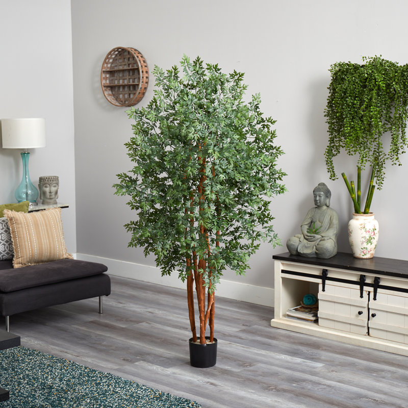 5 pi. Arbre artificiel Aralia