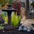Atalia Outdoor Floor Fountain