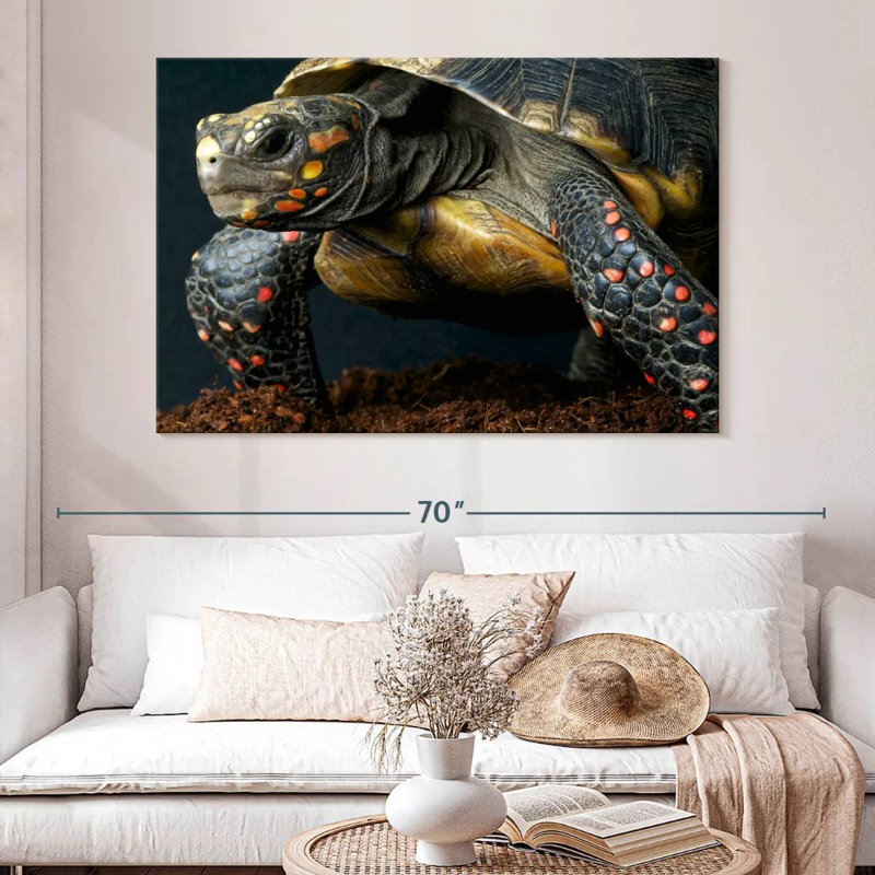 Tortue à pieds rouges, H 34 po x l 51 po