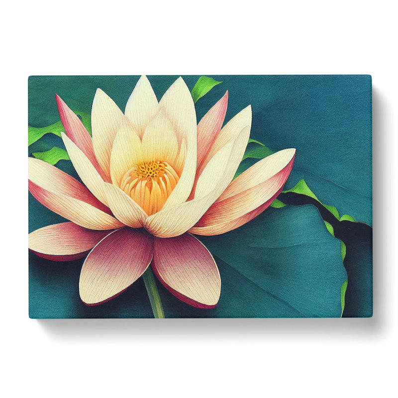 Tantalising Lotus Flower - Wrapped Canvas, 40cm H x 60cm W x 3cm D