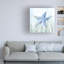 Étoile de mer sous-marine - impression sur toile tendue-435507381