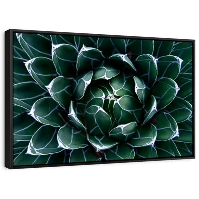 Floral et botanique «Queen Victoria Agave Wall Art»