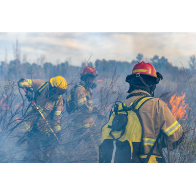 Feu dans la forêt