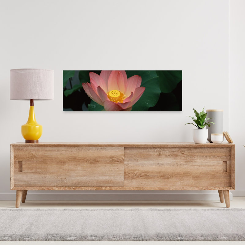 Lotus Blooming In A Pond by Terry Thompson - Wrapped Canvas Panoramic Print, 30.48 cm H x 91.44 cm W