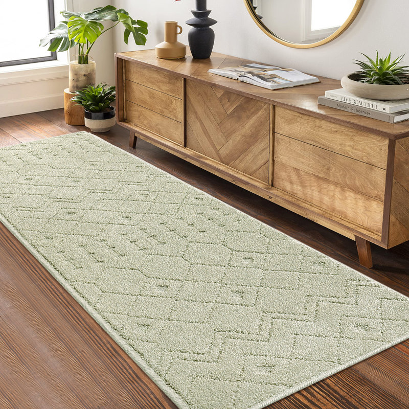 Clauda Area Rug with Non-Slip Backing, Runner 2' x 6'