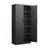 2-Door File Cabinet With Lock And 4 Adjustable Shelves