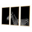 «Sideview of Zebra» en noir et blanc - 3 pièces, cadre flottant, impression sur toile-675063360-675063361