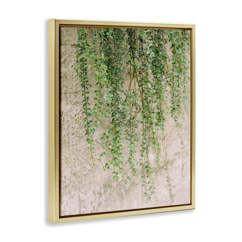«Hanging Ivy Vines», art mural encadré par Justine Milton, Cadre flottant orme Montalcino, H 21 po x l 17 po