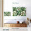 Feuilles vertes feuillues-1557293577