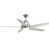Brushed Nickel with Silver Blades