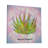 " Haworthia Chloracantha "-1372517421