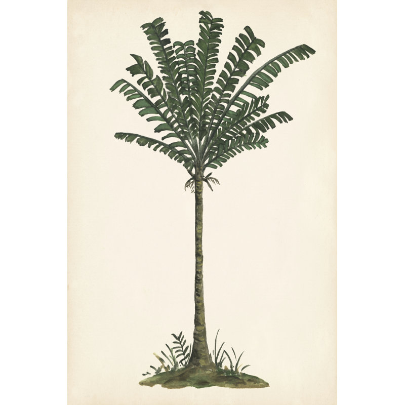 Palm Tree Study IV - Wrapped Canvas Art Prints, 76cm H x 51cm W x 3.8cm D