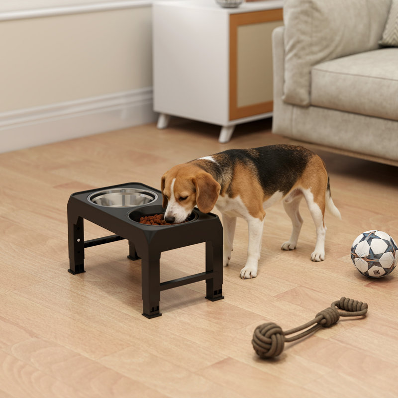 Pet Feeder