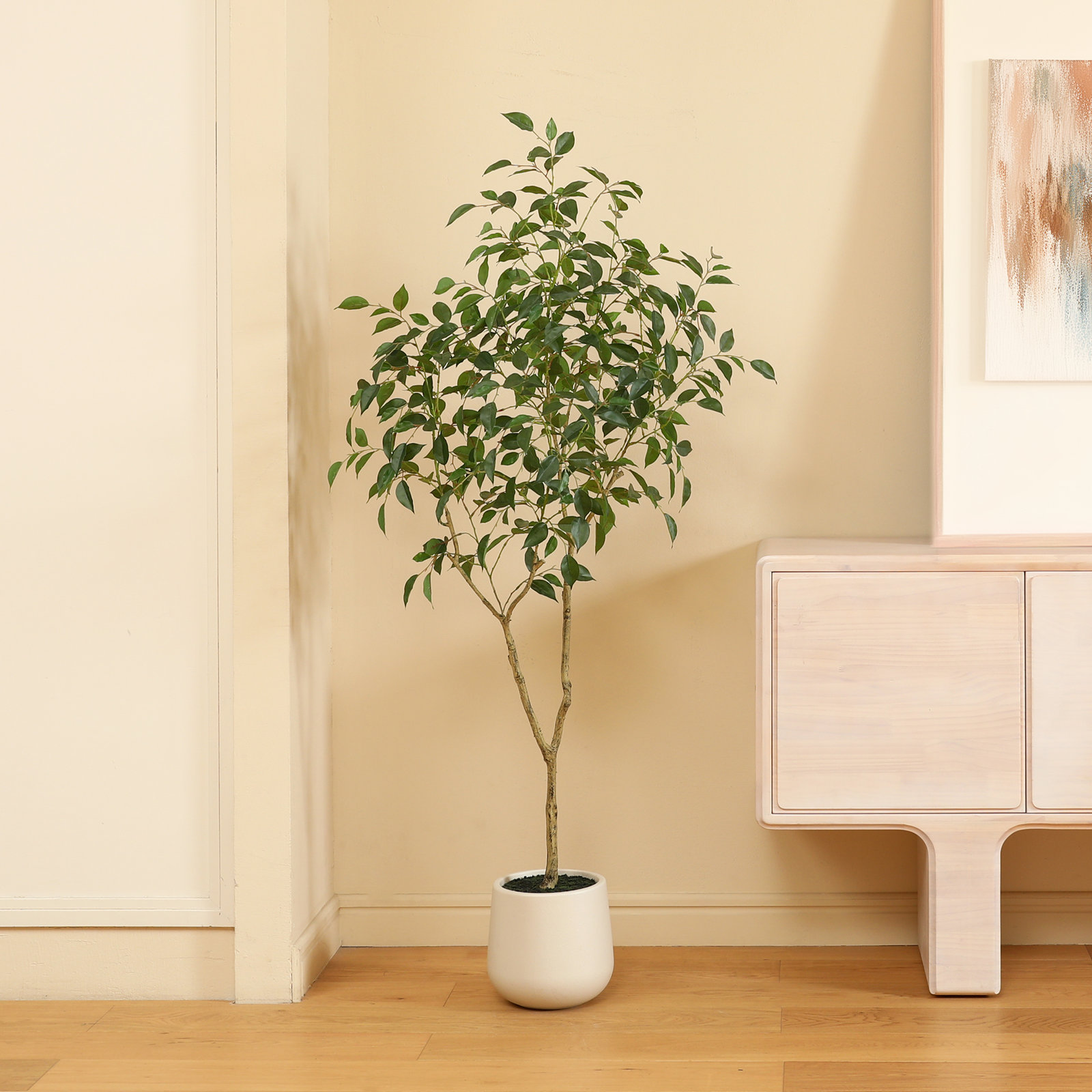 Anasta Ficus Tree in Pot, 60" H x 20" W x 20" D