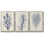 Indigo Brush Blooms I, ensemble de 3 toiles encadrées sur toile-97792399-97792400
