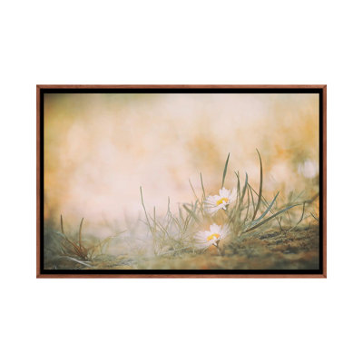 1 Piece Floater Frame Wall Art on Canvas