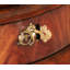 Buckingham 63.5'' W Solid Wood Console Table