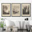 «Duotone», arbres rétro, croquis de forêt, paysage rustique, art encadré sur toile, 3 pièces-91874777-91874776
