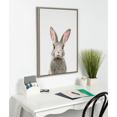 Animal Studio Female Rabbit by Amy Peterson Framed Canvas Wall Art Print