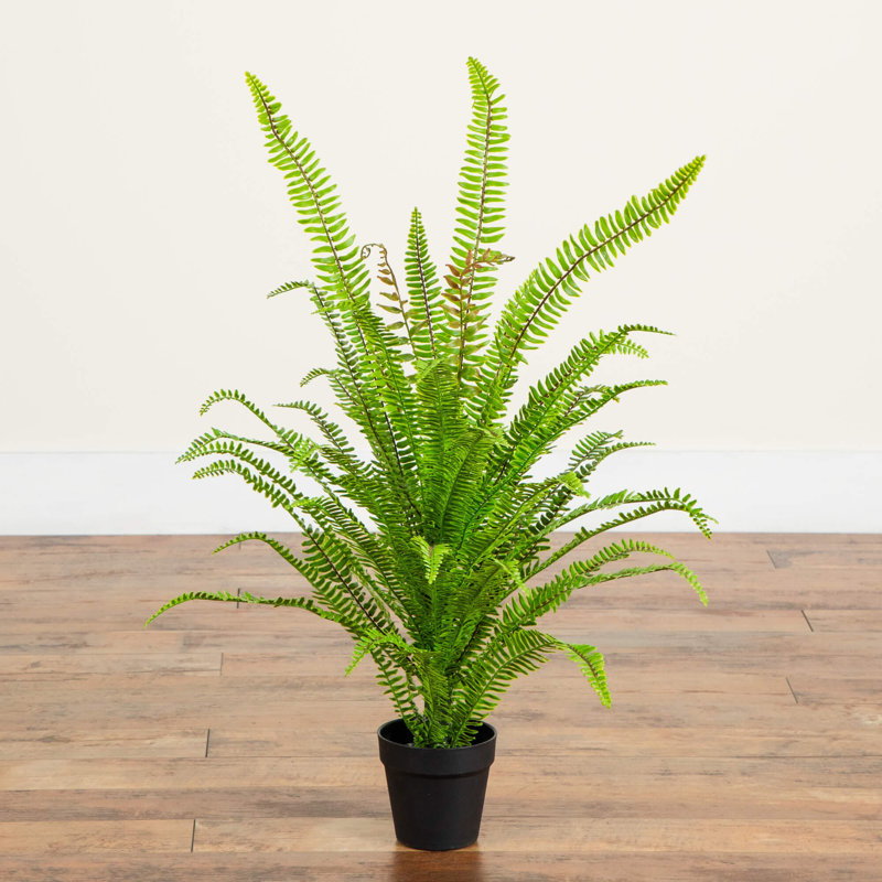3 pi. Fougère artificielle Boston résistante aux rayons UV avec plantes en feuilles (intérieur / extérieur)