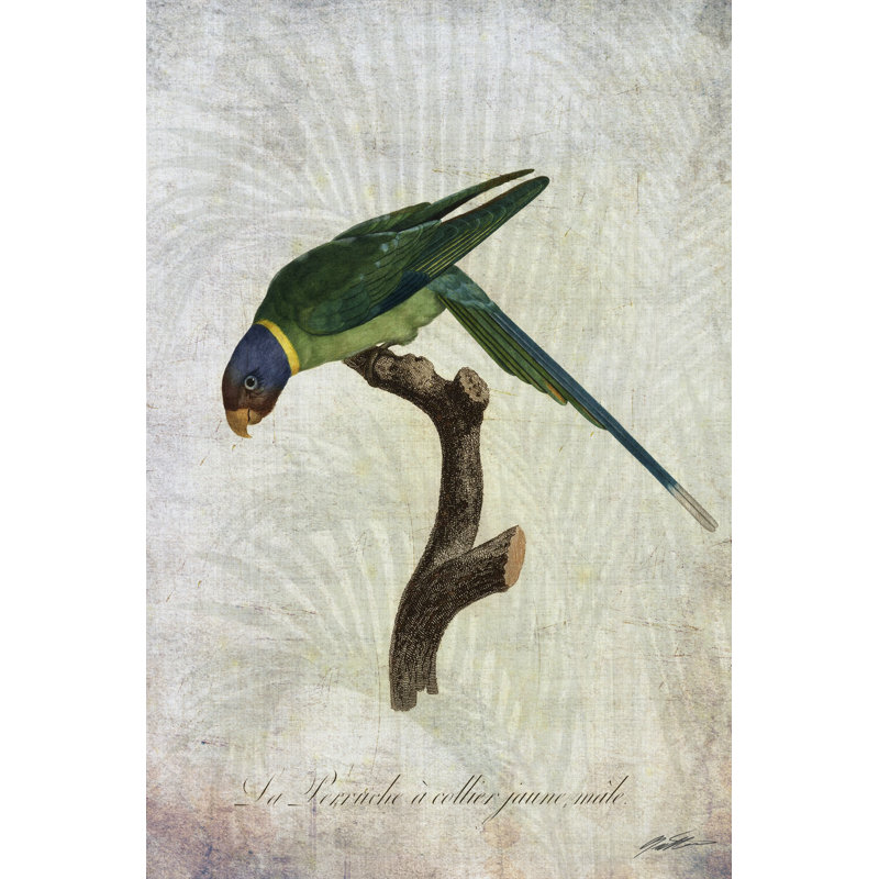 Parrot Jungle IV by John Butler - Wrapped Canvas Art Prints, 91cm H x 61cm W