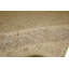 Wool Oriental Area Rug in Beige