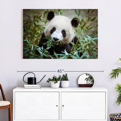 Panda With Bamboo