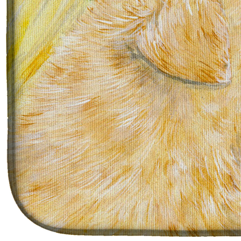 Drying Mat