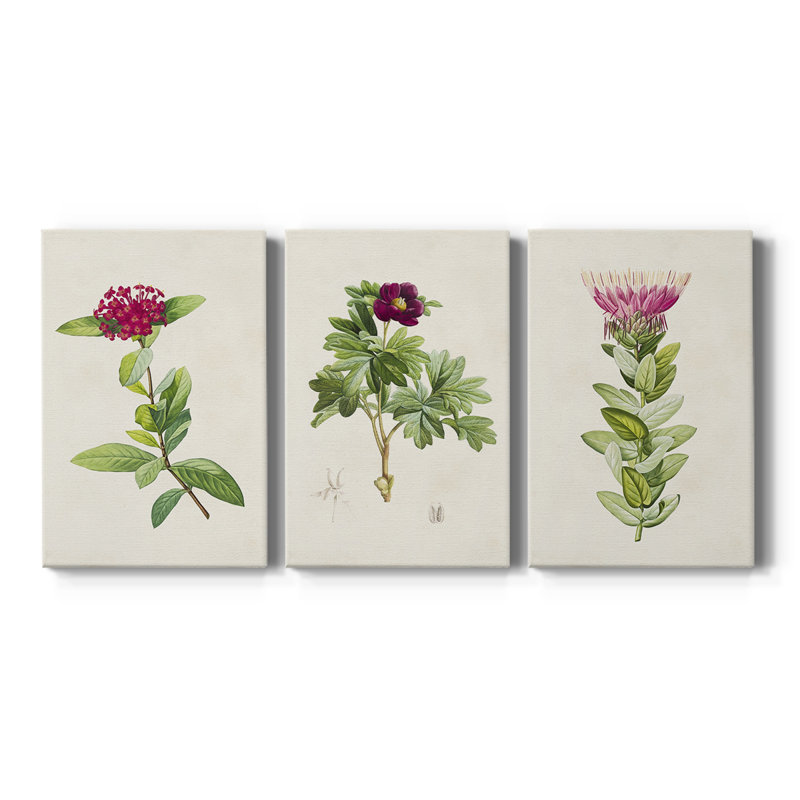 «Pretty Pink Botanicals II», toile tendue sur mesure - 3 pièces, H 12 po x l 24 po