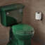 Lustra with Quick-Release Hinges Toilet Seat-321898817-342726763
