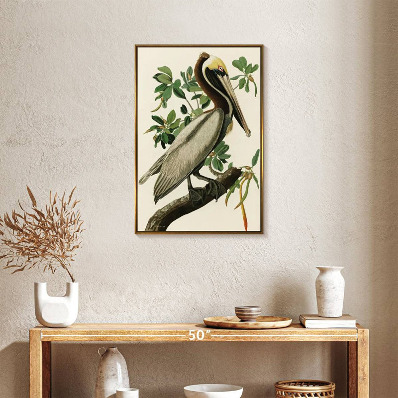 Pélican Audubon, Cadre flottant doré, 21 po x 31 po