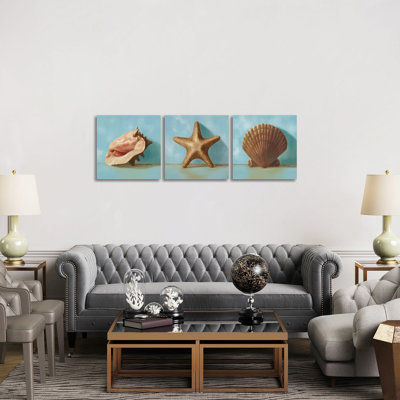 Shells Triptych - Canvas Wall Art Set - Wrapped Canvas (Set of 3)