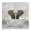 Bébé éléphant à l'heure du bain-71019229-71019231