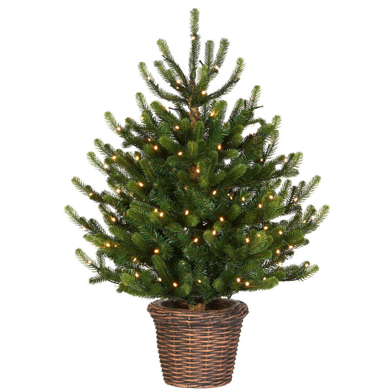 3' H Lighted Artificial Fir Christmas Tree