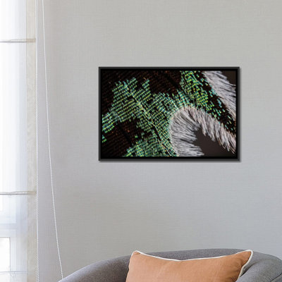 Diffracting Light par Elena Kulikavo - reproduction de photo sur toile