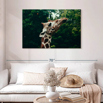 Brampt Giraffe Head Close-Up